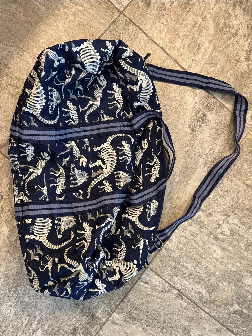 Pottery Barn Kids Navy Tote with White Dinosaur Skeletons